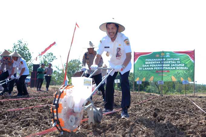 Wabup dan Kapolres Sragen Tanam Jagung Serentak di Lahan Perhutanan Sosial